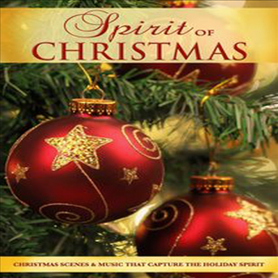 Spirit Of Christmas (스피릿 오브 크리스마스)(지역코드1)(한글무자막)(DVD)