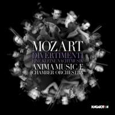 모차르트: 3개의 디베르티멘토 & 세레나데 13번 '아이네클라이네 나흐트무지크' (Mozart: Three Divertimento & Serenade No.13 'Eine Kleine Nachtmusik')(CD) - Anima Musicae