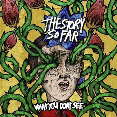 Story So Far - What You Don't See (LP)