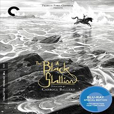 The Black Stallion (검은 종마) (한글무자막)(Blu-ray)