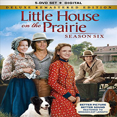 Little House On The Prairie: Season Six (초원의 집)(지역코드1)(한글무자막)(DVD)
