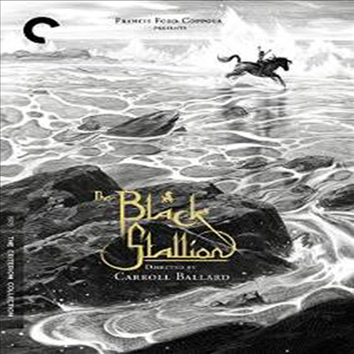 The Black Stallion (검은 종마)(지역코드1)(한글무자막)(DVD)