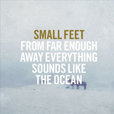 Small Feet - From Far Enough Away Everything Sounds Like (CD)