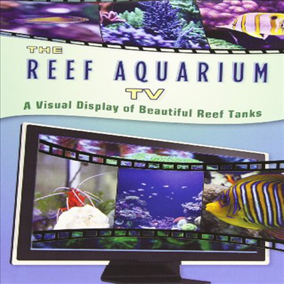 The Reef Aquarium TV (더 리프 아쿠아륨 TV)(지역코드1)(한글무자막)(DVD)