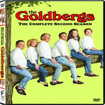 The Goldbergs: The Complete Second Season (더 골드버그스: 시즌 2)(지역코드1)(한글무자막)(DVD)