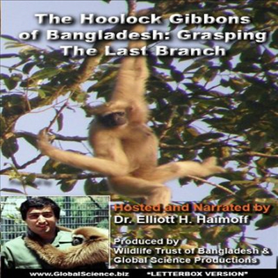 The Hoolock Gibbons Of Bangladesh: Grasping The Last Branch (더 훌록 기번스 오브 방글라데시)(지역코드1)(한글무자막)(DVD)