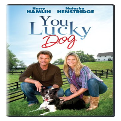 You Lucky Dog (유 럭키 독)(지역코드1)(한글무자막)(DVD)