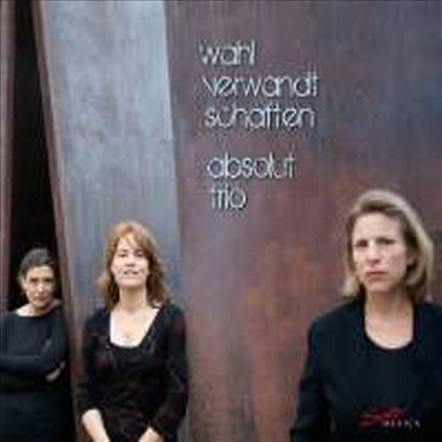 친화력 - 낭만과 현대의 피아노 삼중주집 (Wahl Verwandt Schaften - Works for Piano Trios)(CD) - Absolut Trio