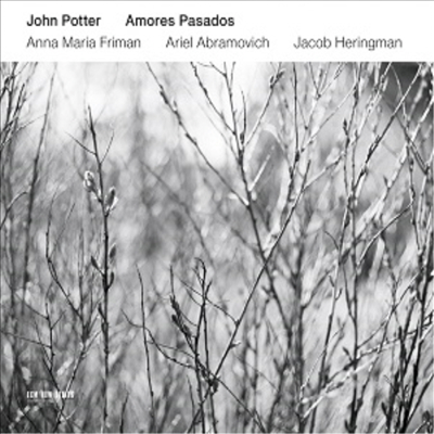 존 포터 - 아모레스 파사도스 (John Potter - Amores Pasados)(CD) - Ariel Abramovich