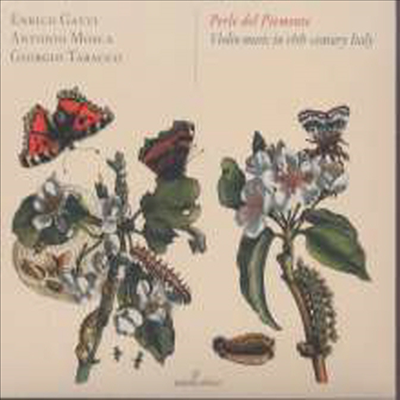 피에몬테의 진주 - 18세기 이탈리아의 바이올린 음악 (Perle del Piemonte - Violin Music in 18th-Century Italy)(CD) - Enrico Gatti
