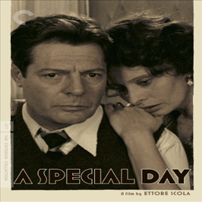 A Special Day (특별한 날)(지역코드1)(한글무자막)(DVD)