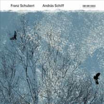 슈베르트: 피아노 소나타 18번, 21번 &amp; 6개의 악흥의 순간, 4개의 즉흥곡 (Schubert: Piano Sonatas Nos.18, 21 &amp; Moments Musicaux D780, Op. 94, 4 Impromptus, D935) (2CD) - Andras Schiff