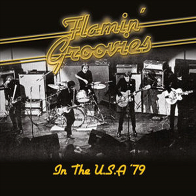 Flamin&#39; Groovies - In The U.S.A &#39;79 (CD)