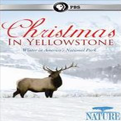 Nature: Christmas In Yellowstone (크리스마스 인 옐로우스톤)(지역코드1)(한글무자막)(DVD)