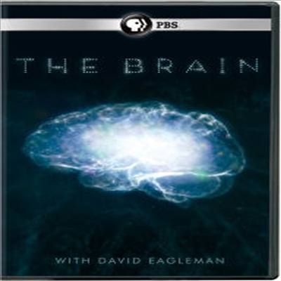 The Brain With David Eagleman (더 브레인 위드 데이비드 이글맨)(지역코드1)(한글무자막)(DVD)
