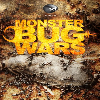 Monster Bug Wars (몬스터 버그)(지역코드1)(한글무자막)(DVD)