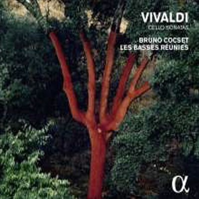 비발디: 첼로 소나타 작품집 (Vivaldi: Cello Sonatas)(CD) - Bruno Cocset