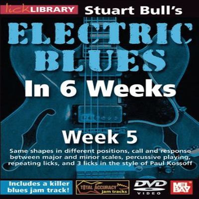 Electric Blues In 6 Weeks For Guitar: Week 5 (일렉트릭 기타)(한글무자막)(DVD)