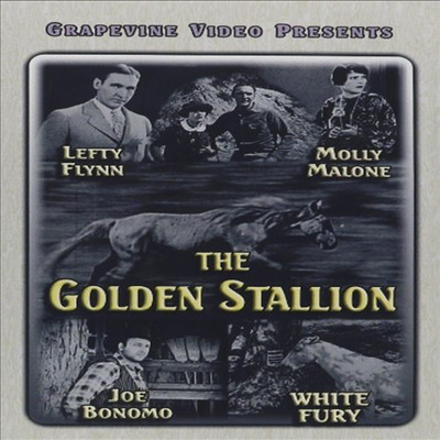 Golden Stallion (1927) (Silent) (골든 스탤리온)(한글무자막)(DVD)