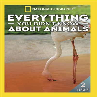 Everything You Didn&#39;t Know About Animals (에브리씽 유 디든트 노우 어바웃 애니멀즈) (DVD-R)(한글무자막)(DVD)