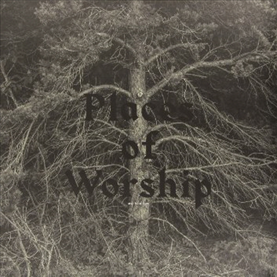 Arve Henriksen - Places Of Worship (LP)