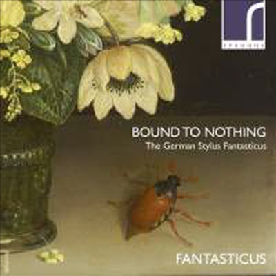 독일 스타일의 환상곡 - 바로크 소나타 작품집 (Bound to Nothing - The German Stylus Fantasticus)(CD) - Fantasticus