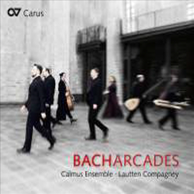 바흐아치 (Bach Arcades)(CD) - Wolfgang Katschner