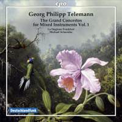 텔레만: 위대한 협주곡 1집 (Telemann: Grand Concertos for Mixed Instruments, Vol. 1)(CD) - Michael Schneider