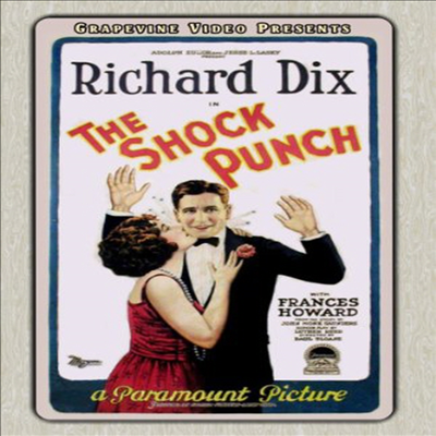 The Shock Punch (더 쇼크 펀치)(한글무자막)(DVD)