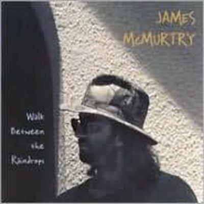 James McMurtry - Walk Between The Raindrops (CD)