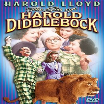 Sin Of Harold Diddlebook (해롤드 로이드)(지역코드1)(한글무자막)(DVD)