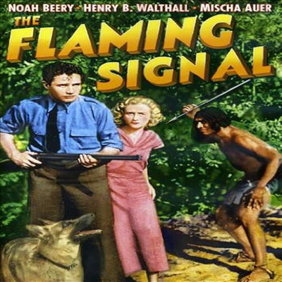 Flaming Signal (플래밍 시그널)(한글무자막)(DVD)