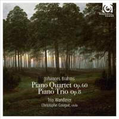 브람스: 피아노 사중주 3번 & 피아노 삼중주 1번 (Brahms: Piano Quartet No.3 & Piano Trio No.1)(CD) - Trio Wanderer