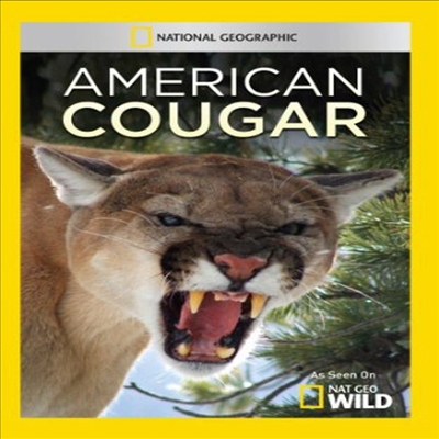 American Cougar (아메리칸 쿠거) (지역코드1)(한글무자막)(DVD-R)