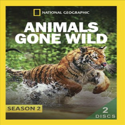 Animals Gone Wild: Season 2 (애니멀 곤 와일드) (DVD-R)(한글무자막)(DVD)