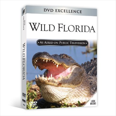 Wild Florida (와일드 플로리다)(지역코드1)(한글무자막)(DVD)