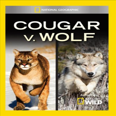 Cougar V Wolf (쿠거 vs 울프) (DVD-R)(한글무자막)(DVD)