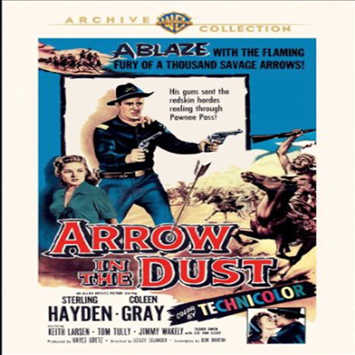 Arrow In The Dust (에로우 인 더 더스트) (한글무자막)(DVD)(DVD-R)