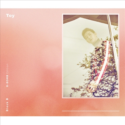 블락비 (Block.B) - Toy (CD+DVD) (비범 Edition)