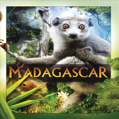 Madagascar (마다가스카) (DVD-R)(한글무자막)(DVD)