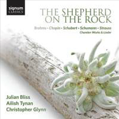 바위 위에 양치기 - 실내악과 가곡집 (The Shepherd on the Rock - Chamber Works &amp; Lieder)(CD) - Ailish Tynan