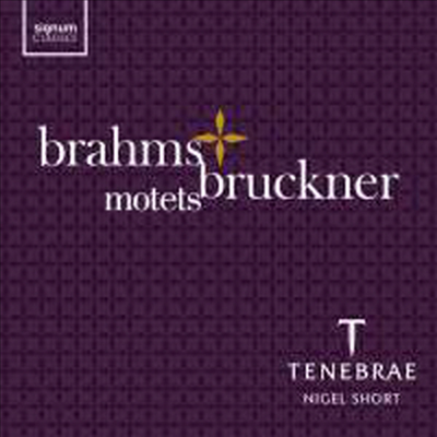 브람스 & 브루크너: 모테트 작품집 (Brahms & Bruckner: Motets)(CD) - Nigel Short