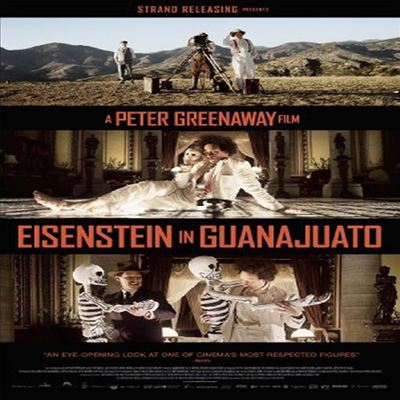 Eisenstein In Guanajuato (멕시코의 에이젠슈타인)(지역코드1)(한글무자막)(DVD)