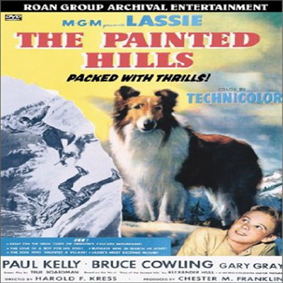 Painted Hills (페인티드 힐즈)(지역코드1)(한글무자막)(DVD)