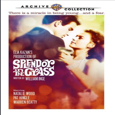 Splendor In The Grass (초원의 빛) (한글무자막)(DVD)(DVD-R)
