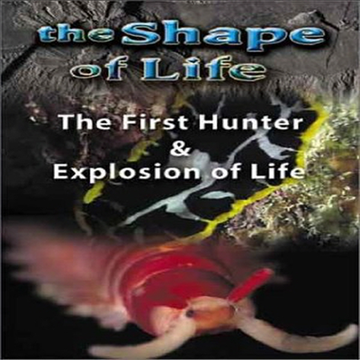 Shape of Life: The First Hunter/Explosion of Life (쉐이프 오브 라이프)(지역코드1)(한글무자막)(DVD)