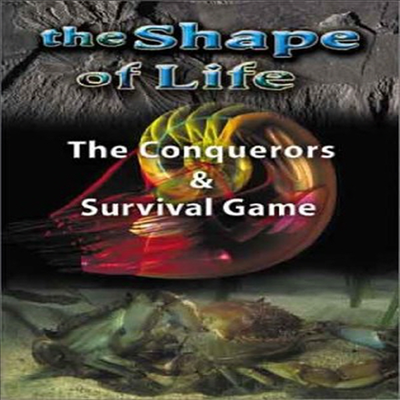 Shape of Life: The Conquerors/Survival Game (쉐이프 오브 라이프)(지역코드1)(한글무자막)(DVD)
