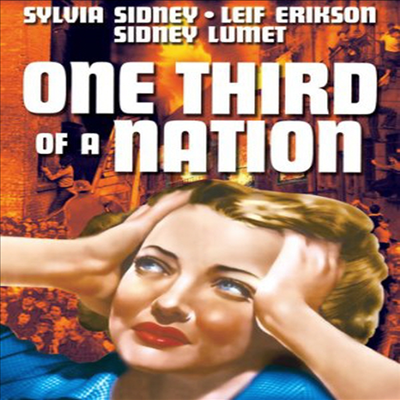 One Third of a Nation (원 써드 오브 어 네이션)(한글무자막)(DVD)