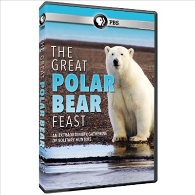 Great Polar Bear Feast (폴라 베어)(지역코드1)(한글무자막)(DVD)