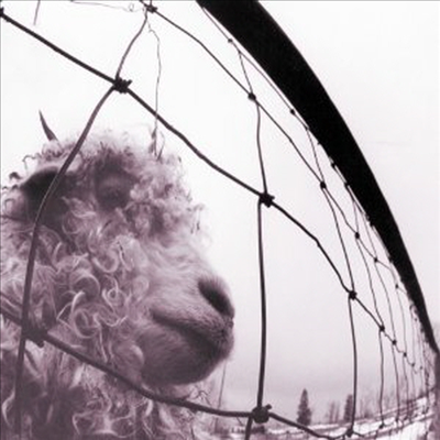 Pearl Jam - Vs (Remastered)(180G)(LP)